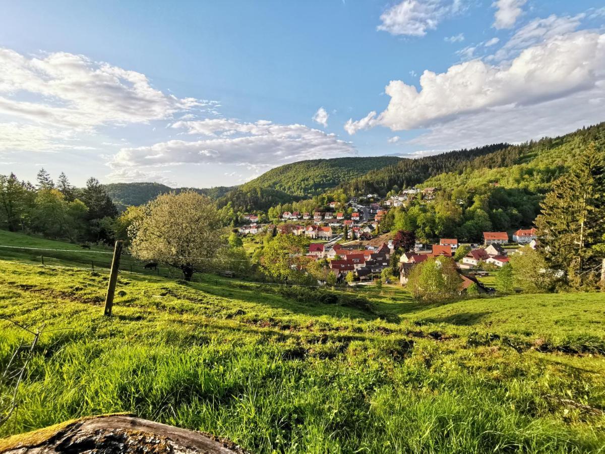 Hotel Pension Jaegerstieg Bad Grund Kültér fotó