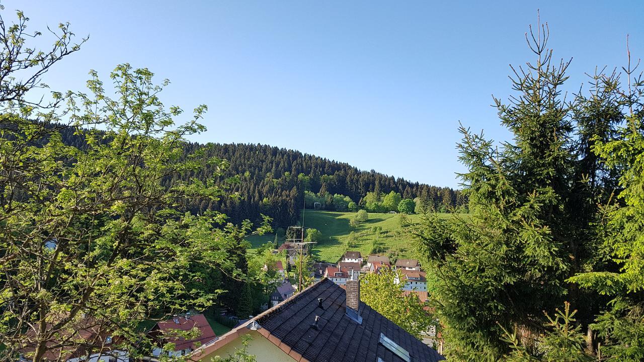 Hotel Pension Jaegerstieg Bad Grund Kültér fotó